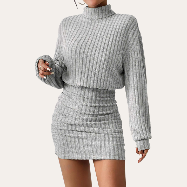 Damen Kleid Langarm Rollkragen | Vestea