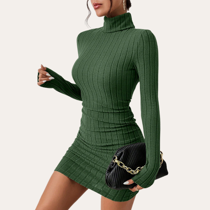 Damen Kleid Langarm Rollkragen Strickoptik | Vestea