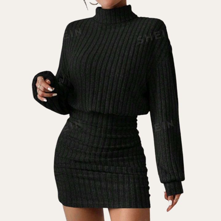 Damen Kleid Langarm Rollkragen | Vestea