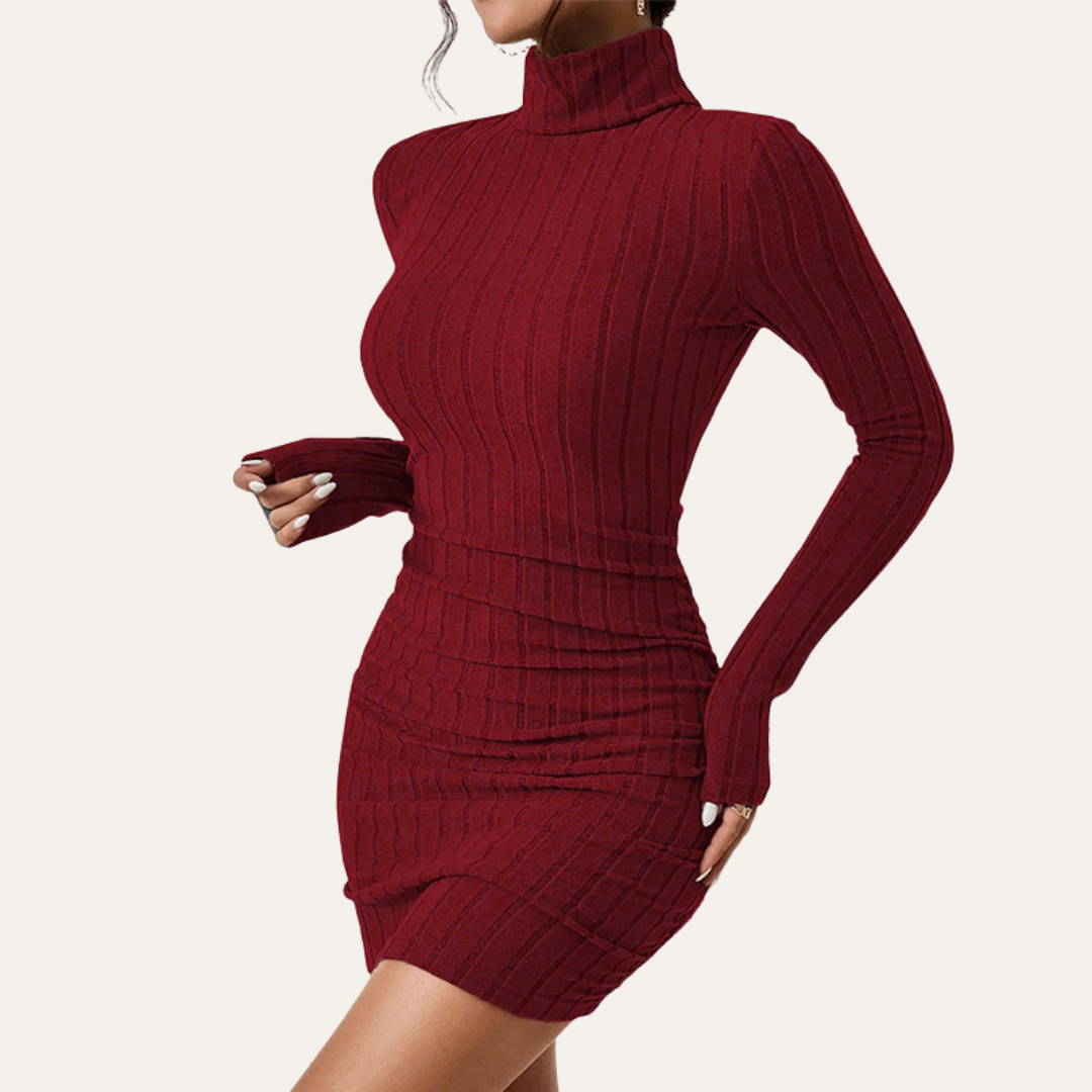 Damen Kleid Langarm Rollkragen Strickoptik | Vestea