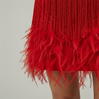 Cocktail Dress Fringe Feather Sequined Mini Sleeveless Womens