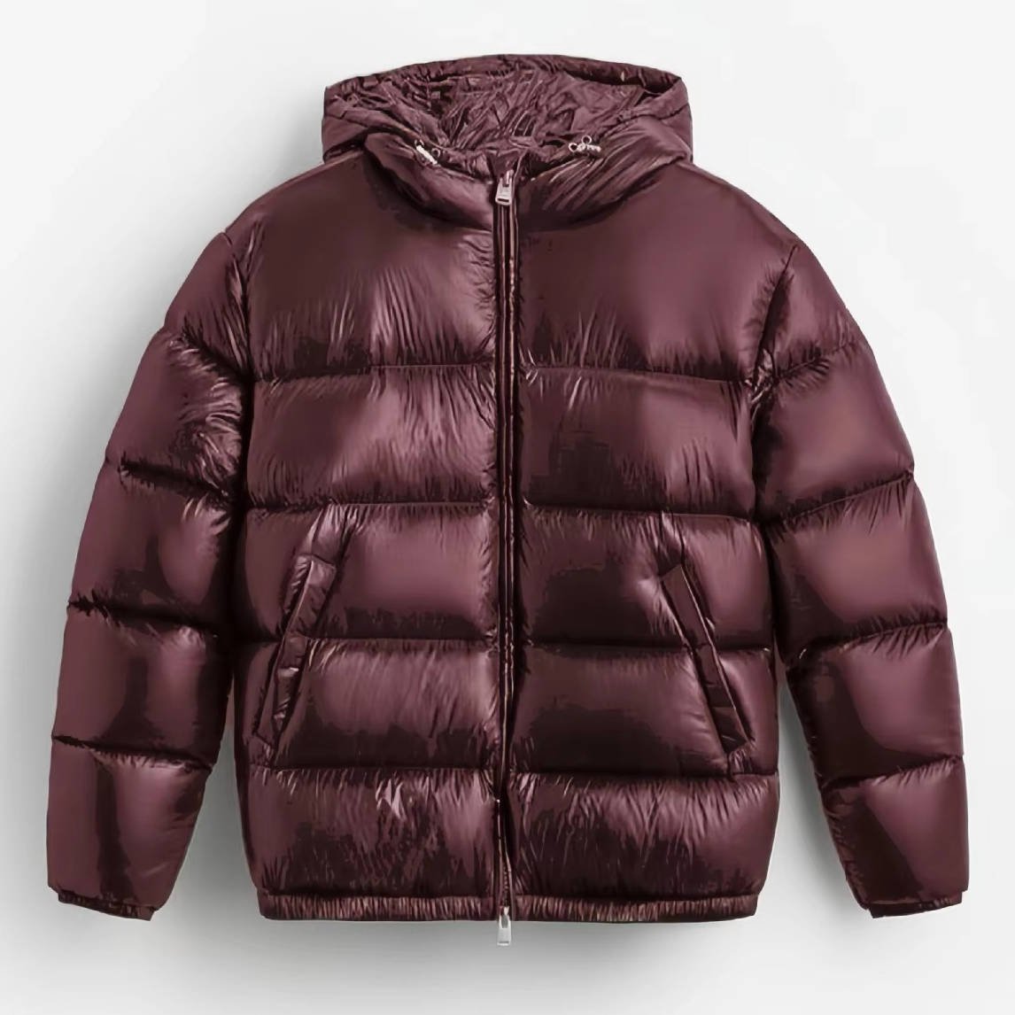 Men's Glossy Quilted Puffer Jacket | Hooded Winter Back