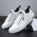 White/Gray